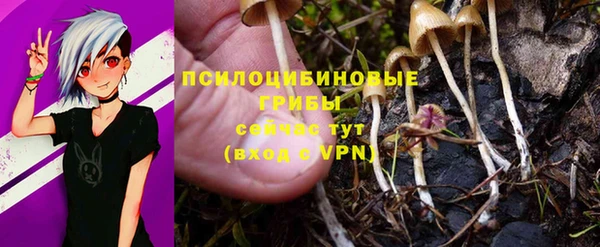 не бодяженный Армянск