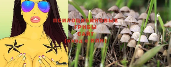 бутик Аркадак