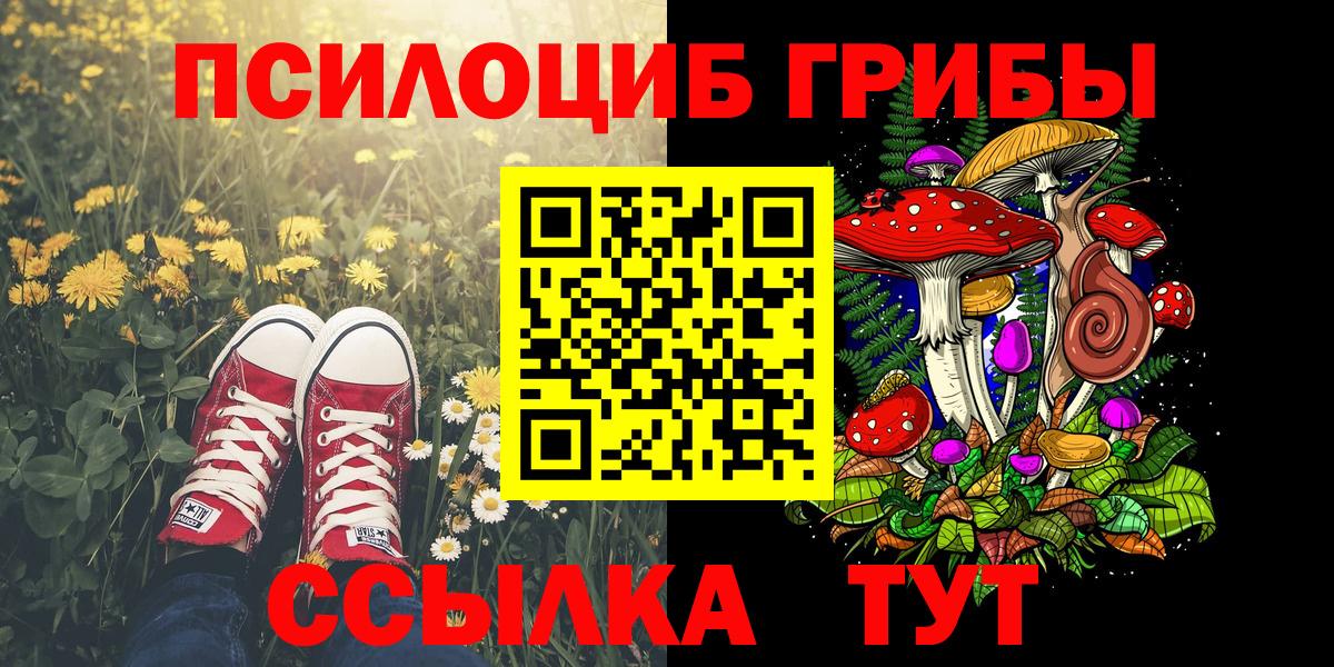 Аша  Галлюциногенные грибы Psilocybine cubensis  Вход с VPN 